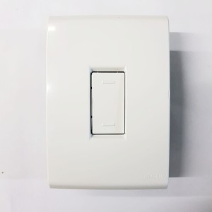 INTERRUPTOR PARALELO, CONJUNTO LIZ INTERRUPTOR PARALELO 10A